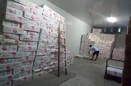 阜陽(yáng)金盛食品保鮮庫(kù)